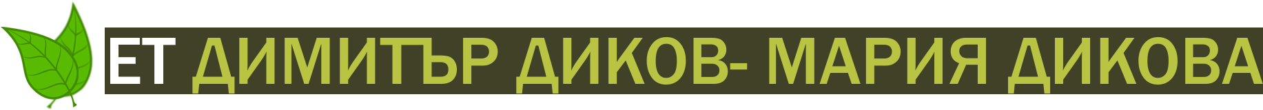 dikov-et.com